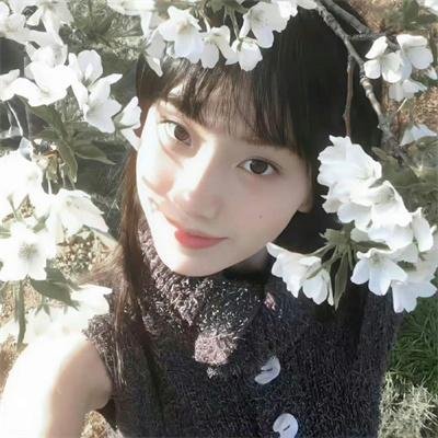 狗狗与我的十个约定